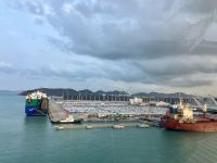 Hafen von Bangkog, so viele Autos sind angekommen !