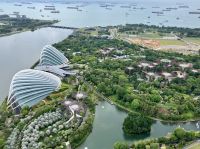 Sicht auf die Superbaeume und die Glassdome