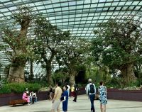 Im Blumen Dom in Gardens by the Bay, Singapur