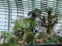 Es ist wunderschoen hier drinnen