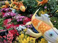 Fische fliegen ueber Blumen !?