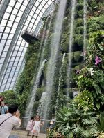 Im Regenwald Dom ist es kuehl und feucht