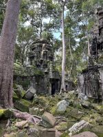 Prasat Ta Nei, Kambodscha