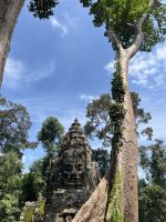 Westtor, Ankor, Kambodscha