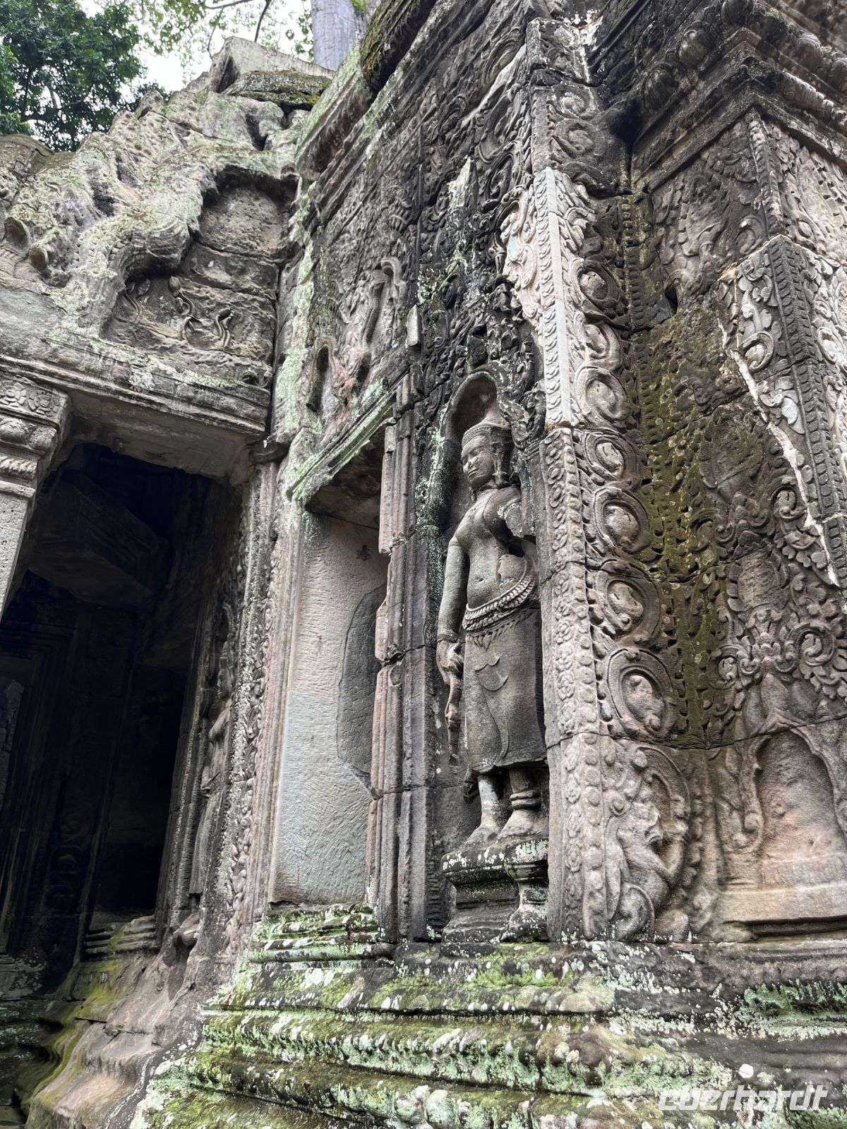 Prasat Ta Prohm, Ankor, Kambodscha