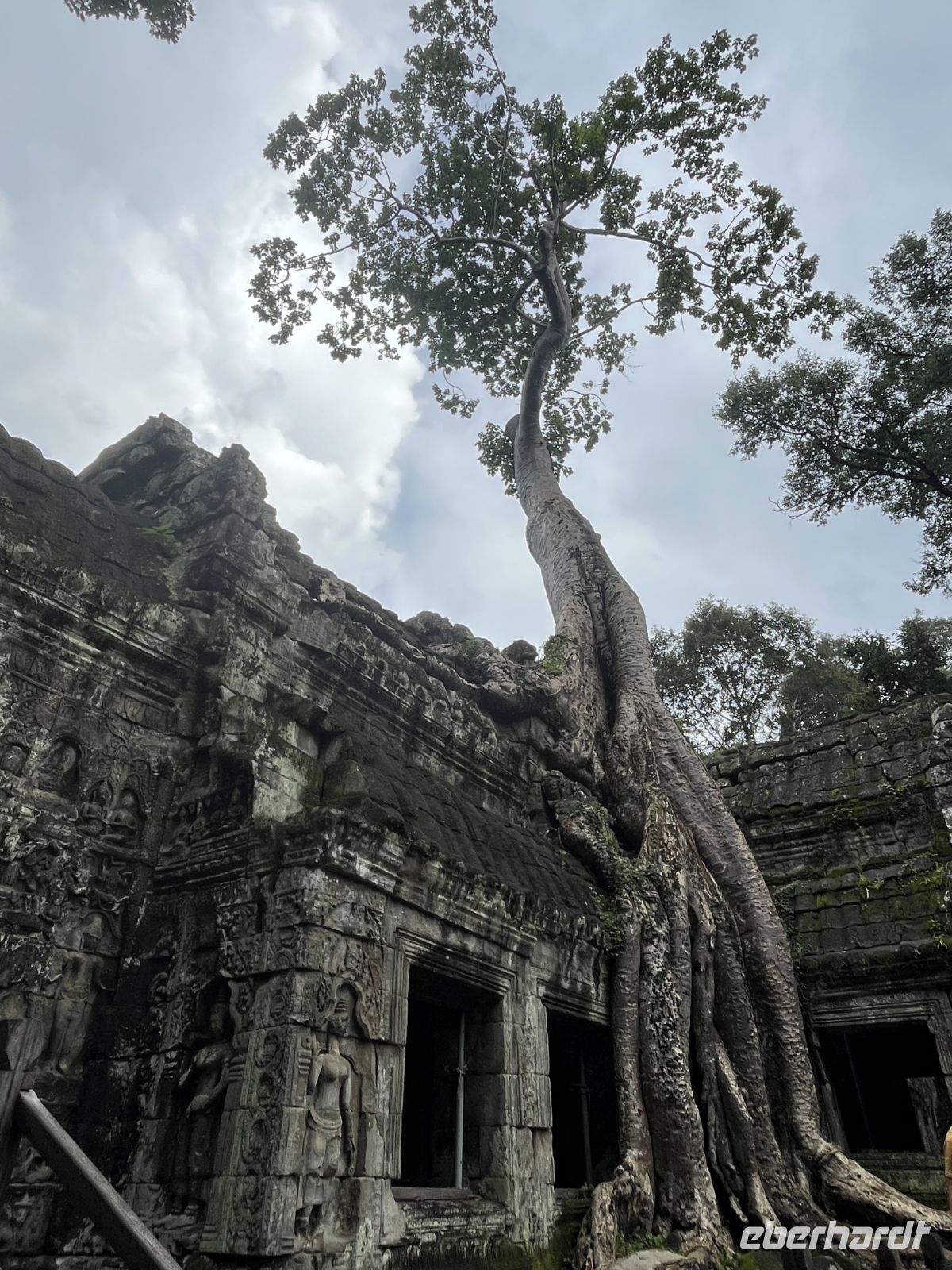Prasat Ta Prohm, Ankor, Kambodscha