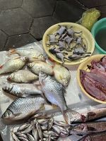 Markt, Siem Reap, Kambodscha