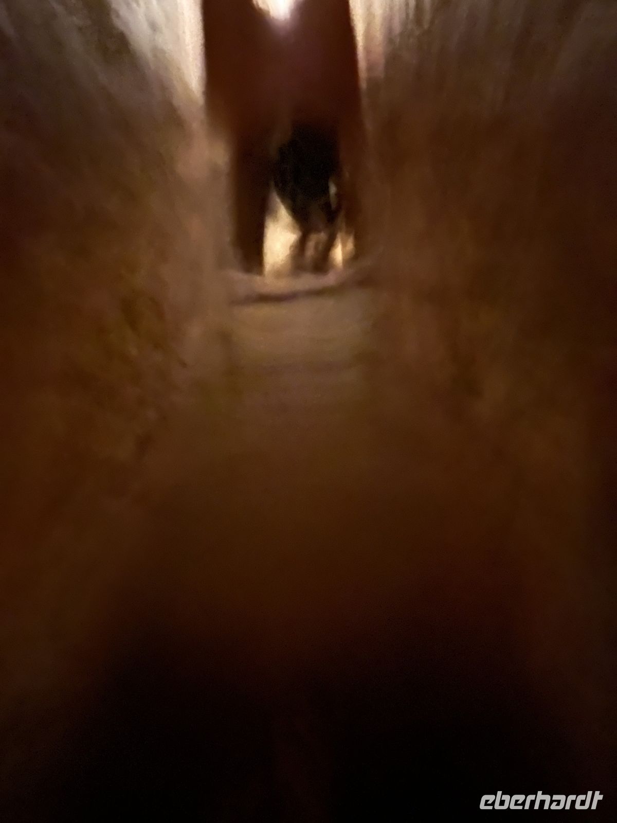 Cu-Chi-Tunnel, Vietnam