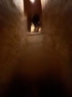 Cu-Chi-Tunnel, Vietnam