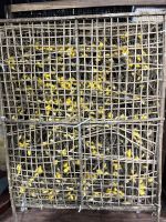 Schneiderei, Seidenraupen, Hoi An, Vietnam