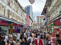 Stadtrundfahrt Singapur, Chinatown