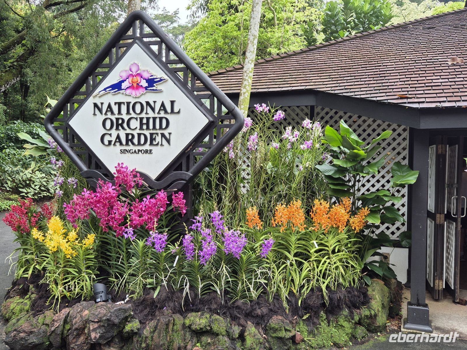 Singapur Orchideengarten