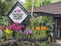 Singapur Orchideengarten