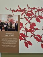 Singapur Orchideengarten