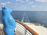 5. Seetag, Kurs Vietnam