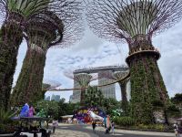 Singapur, Gardens by the Bay