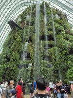 Singapur, Cloud Forest