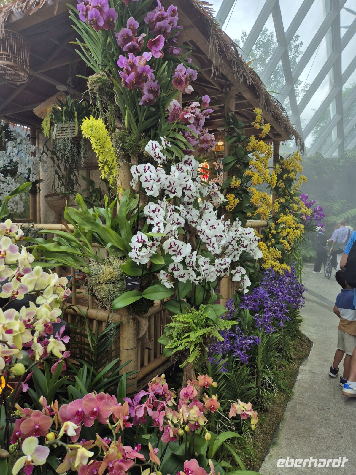 Singapur, Cloud Forest