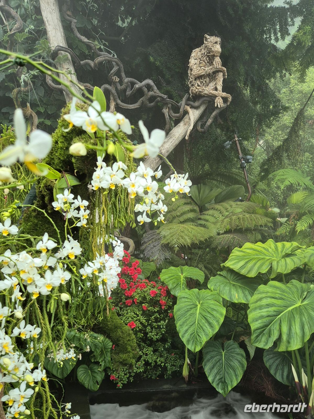 Singapur, Cloud Forest