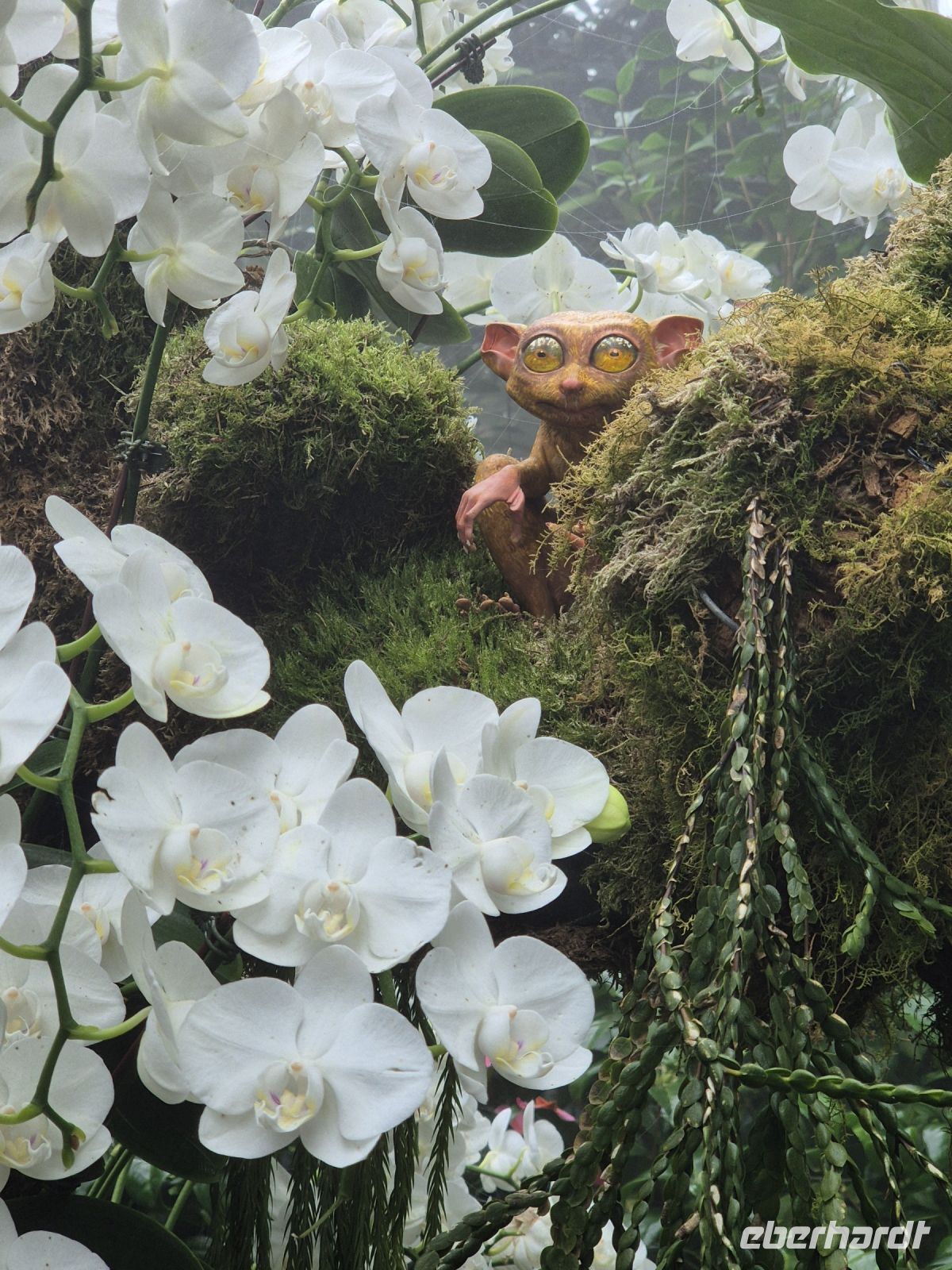Singapur, Cloud Forest