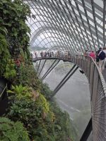 Singapur, Cloud Forest