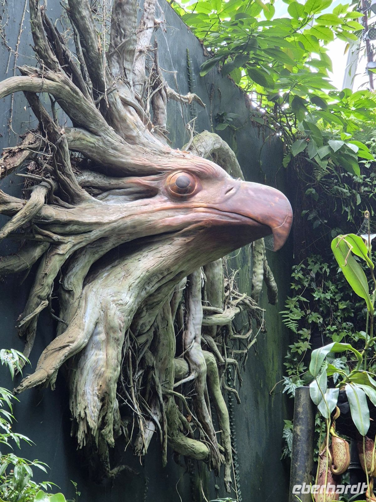 Singapur, Cloud Forest