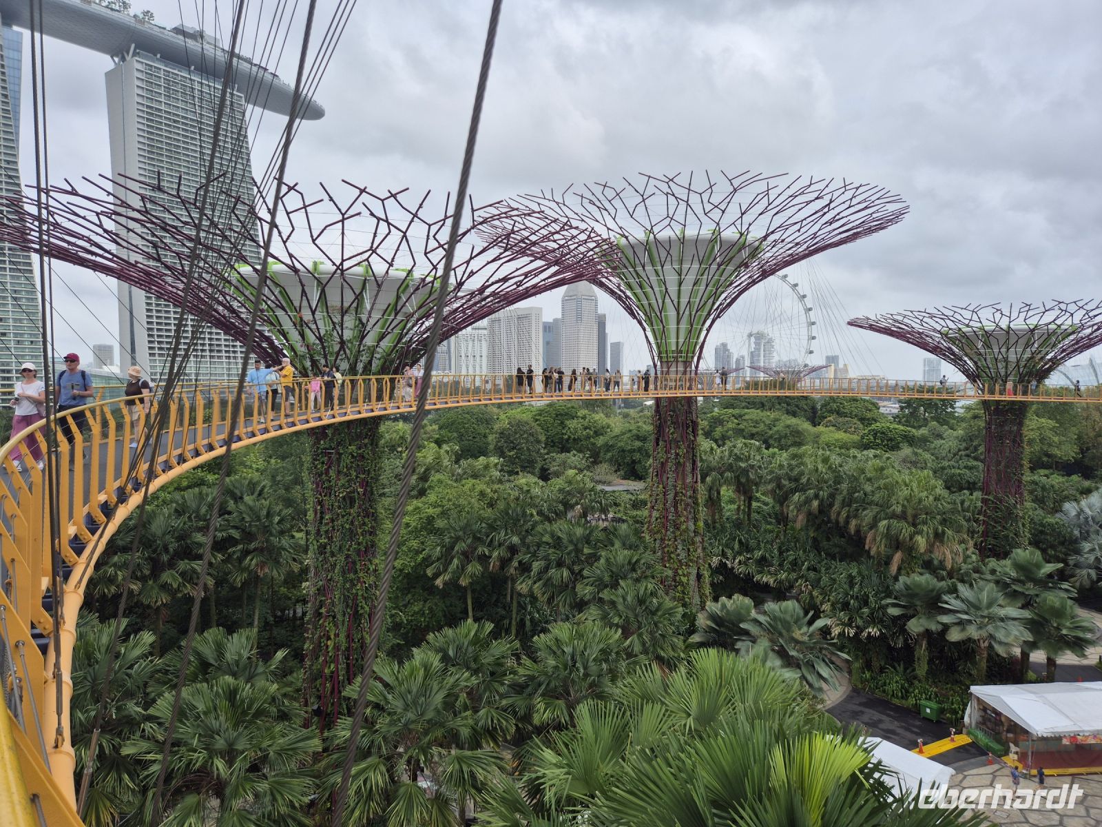 am Abreisetag: Gardens by the Bay, Skywalk