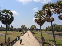 Angkor Wat Richtung Westseite
