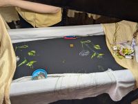 Stickkunst mit Seide