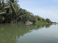 Bootsfahrt auf dem Thu Bon River