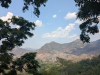 Ausblick aus dem Baumhaus 