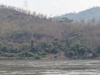 Elefanten am Uferrand des Mekong Rivers