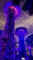 Gardens by the Bay, Singapur 