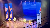 Show Einmal um die Welt, Theater, Mein Schiff 6