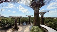 Die Supertrees - Gardens by the Bay 