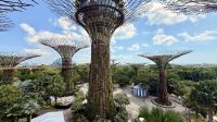 Gardens by the Bay, Singapur 