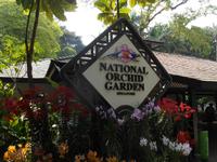 29.01.2016: Singapur - Orchideengarten