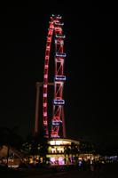 Singapur Flyer bei Nacht