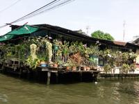 das Leben auf den Klongs