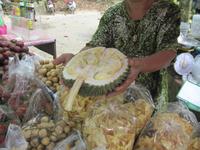 0129 Durian-Frucht (Stinkfrucht)