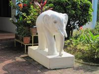 0165 Burmesischer Tempel Georgetown