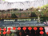 0211 Schmetterlingsfarm Penang