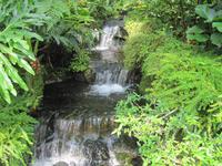 0235 Schmetterlingsfarm Penang