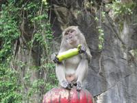 0248 Batuhöhlen Kuala Lumpur