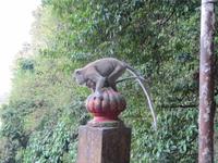 0250 Batuhöhlen Kuala Lumpur