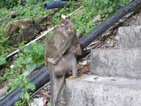 0252 Batuhöhlen Kuala Lumpur