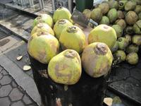 0271 frische Kokosnüsse