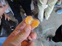 0424 Obststände auf dem Nachtmarkt