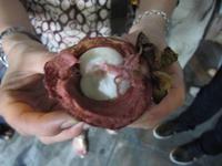 0426 Obststände auf dem Nachtmarkt