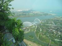 0431 Gardens by the Bay